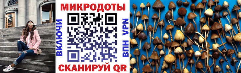 ссылка на мегу ONION  купить закладку  Карачаевск  Псилоцибиновые грибы мицелий 